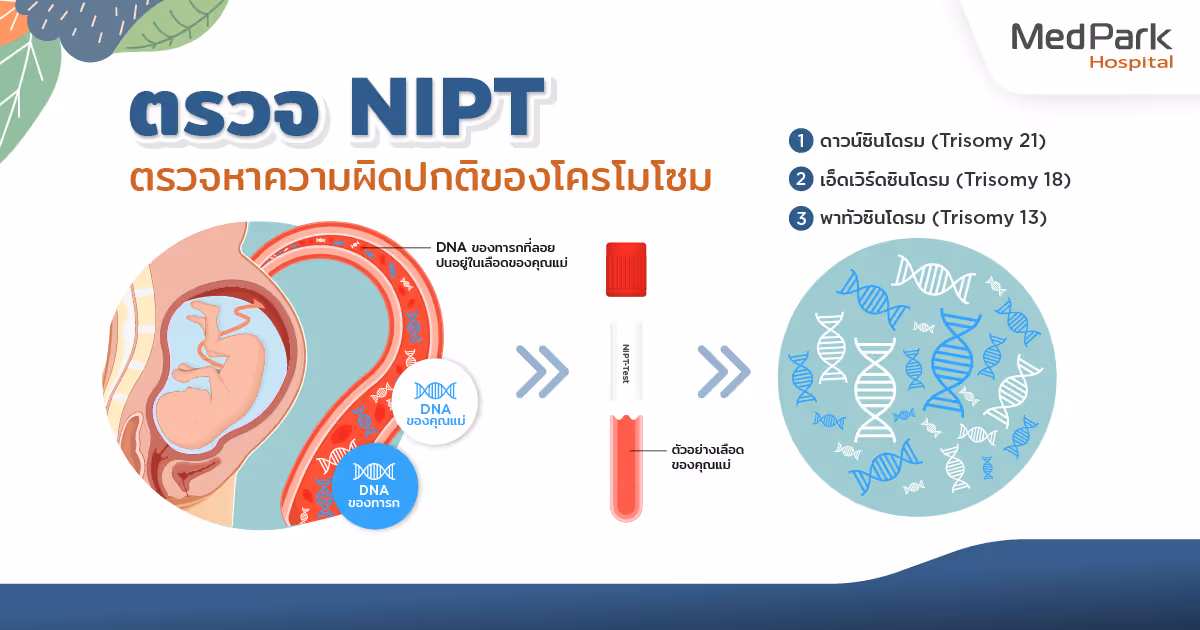 ขั้นตอนการตรวจ NIPT What is the NIPT test procedure?