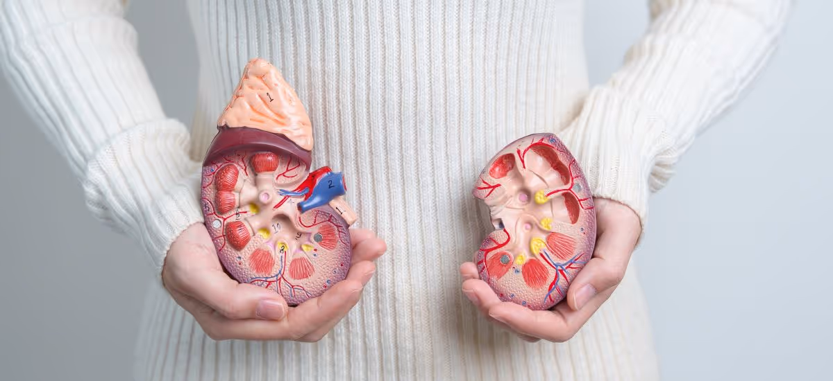 Kidney stones - Symptoms, Risk factors, Diagnosis and Treatment