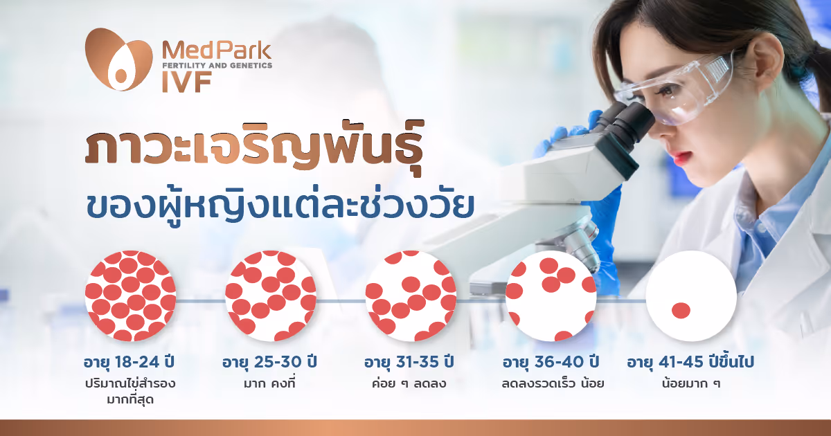 ภาวะเจริญพันธุ์ของผู้หญิงแต่ละช่วงวัย