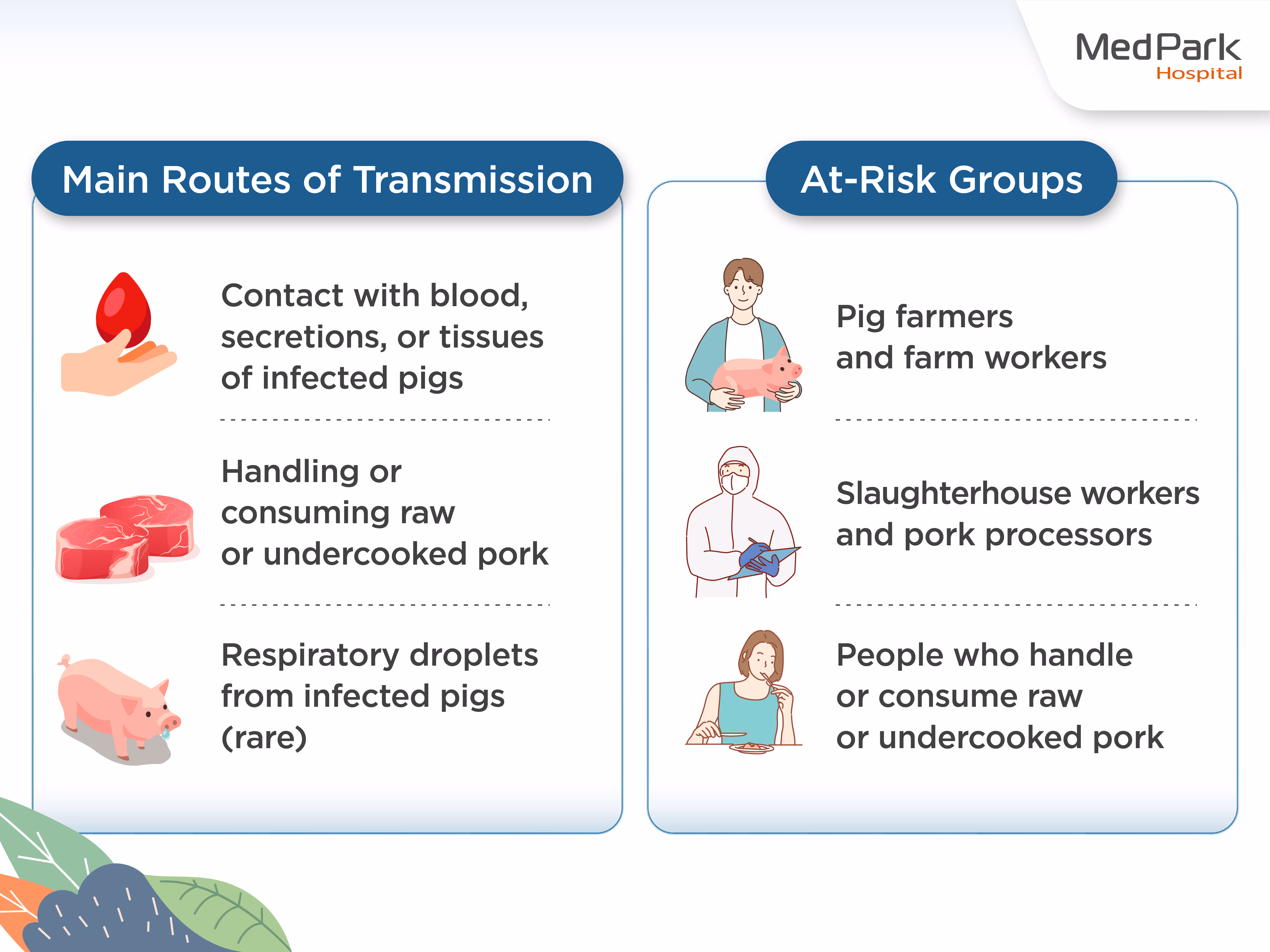 How does Streptococcus suis infection spread to humans?  Humans can contract Streptococcus suis through direct contact with infected pigs or contaminated pork products via two primary routes
