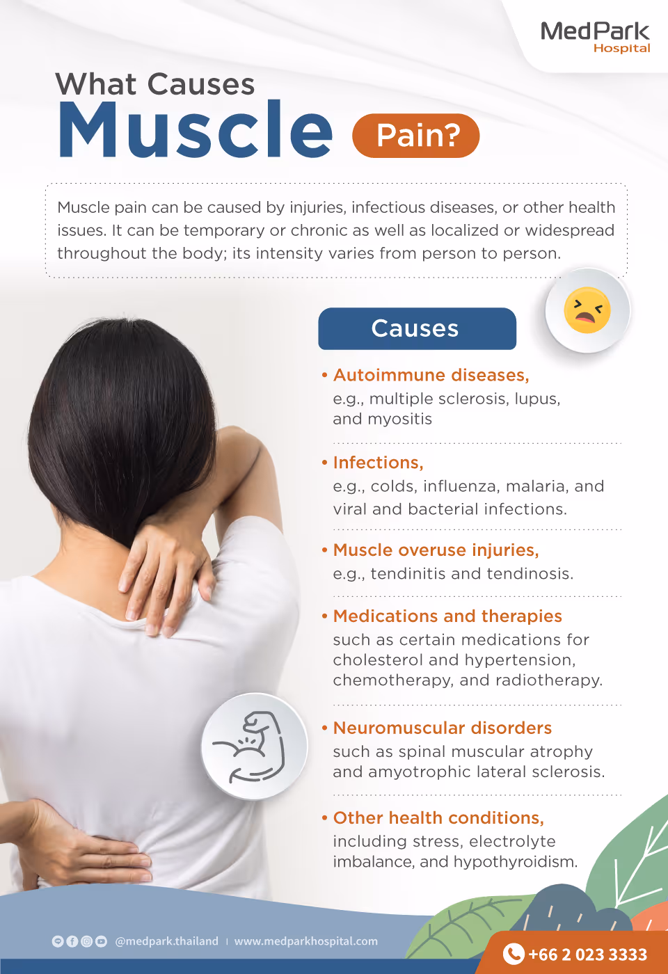 Muscle Pain  Infographic En