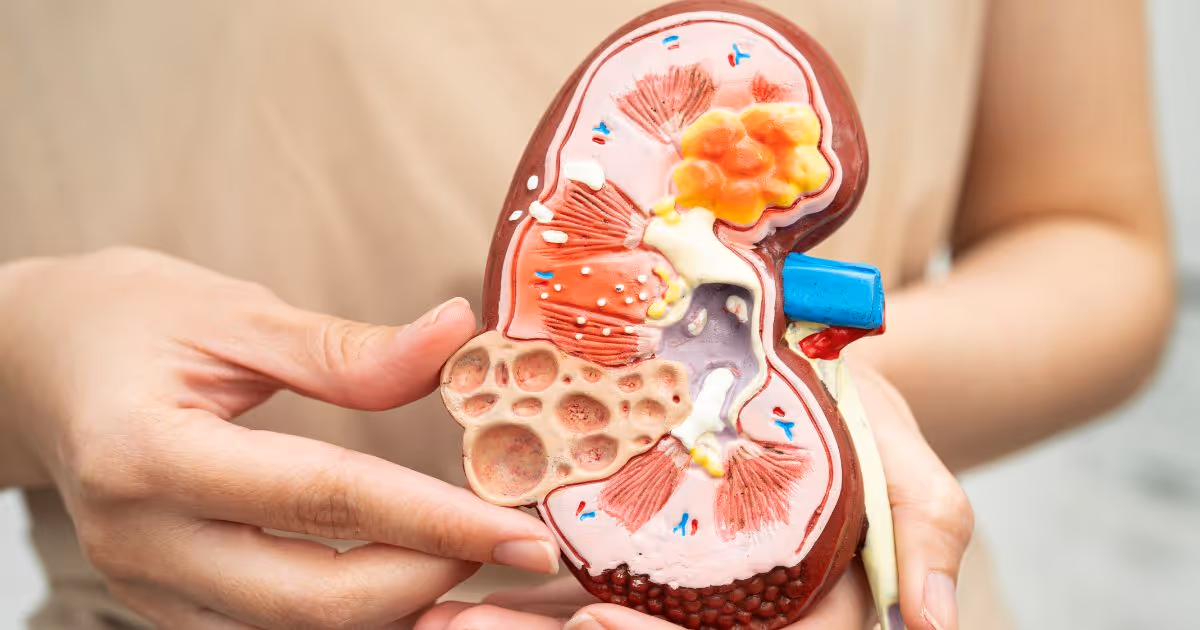 Dr Teerayuth Jiamjariyapon Banner 6