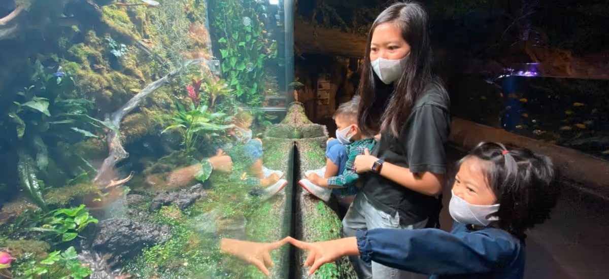 patient-story-low-milk-supply