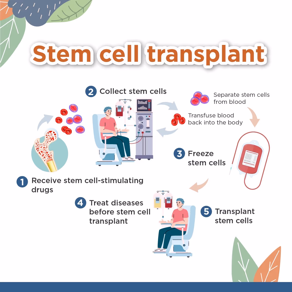 What is the bone marrow transplant procedure?