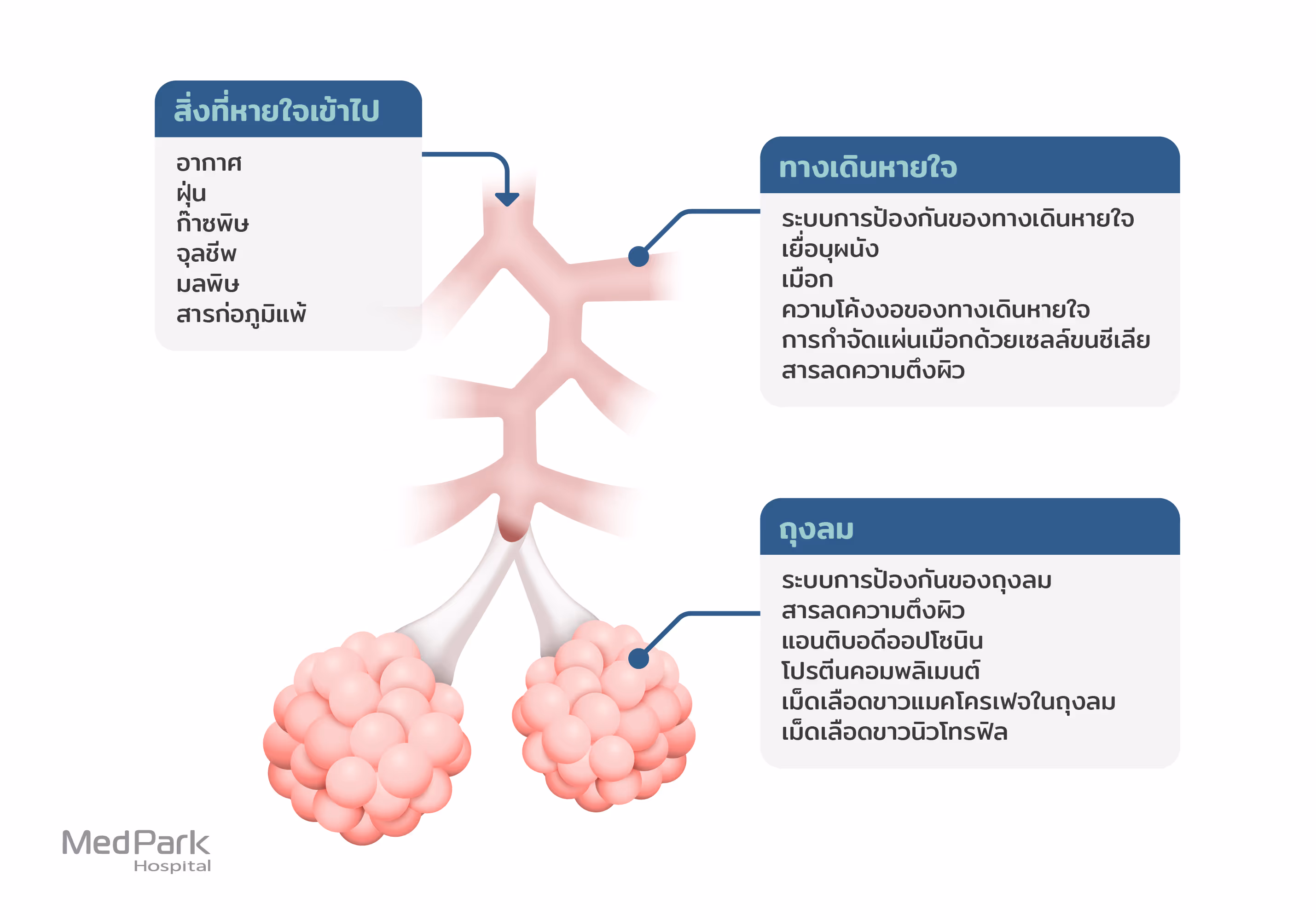 M2.5 มากเกินไป อันตรายต่อปอดและหัวใจ