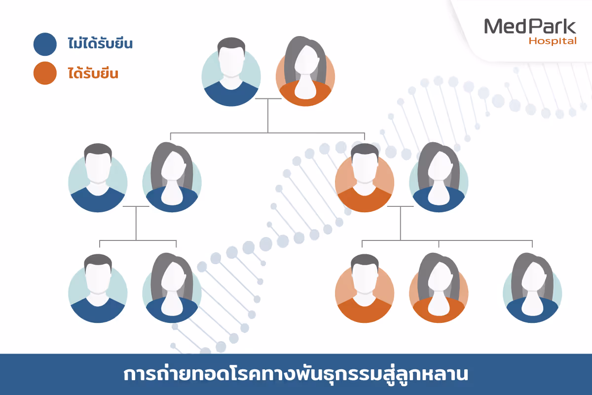 การตรวจยีน คัดกรองโรคอะไร Genetic Testing Th 2