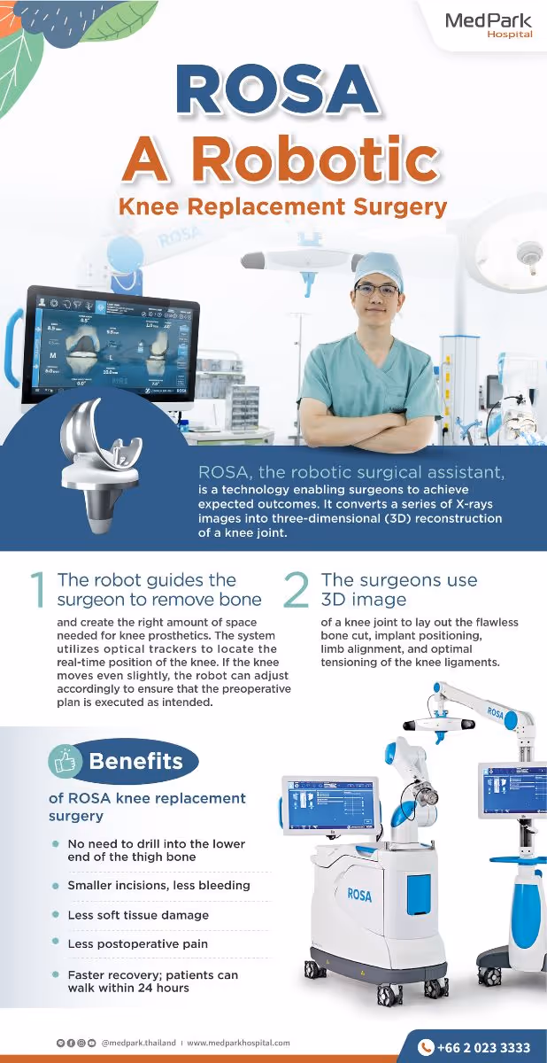 Rosa - Infographic En