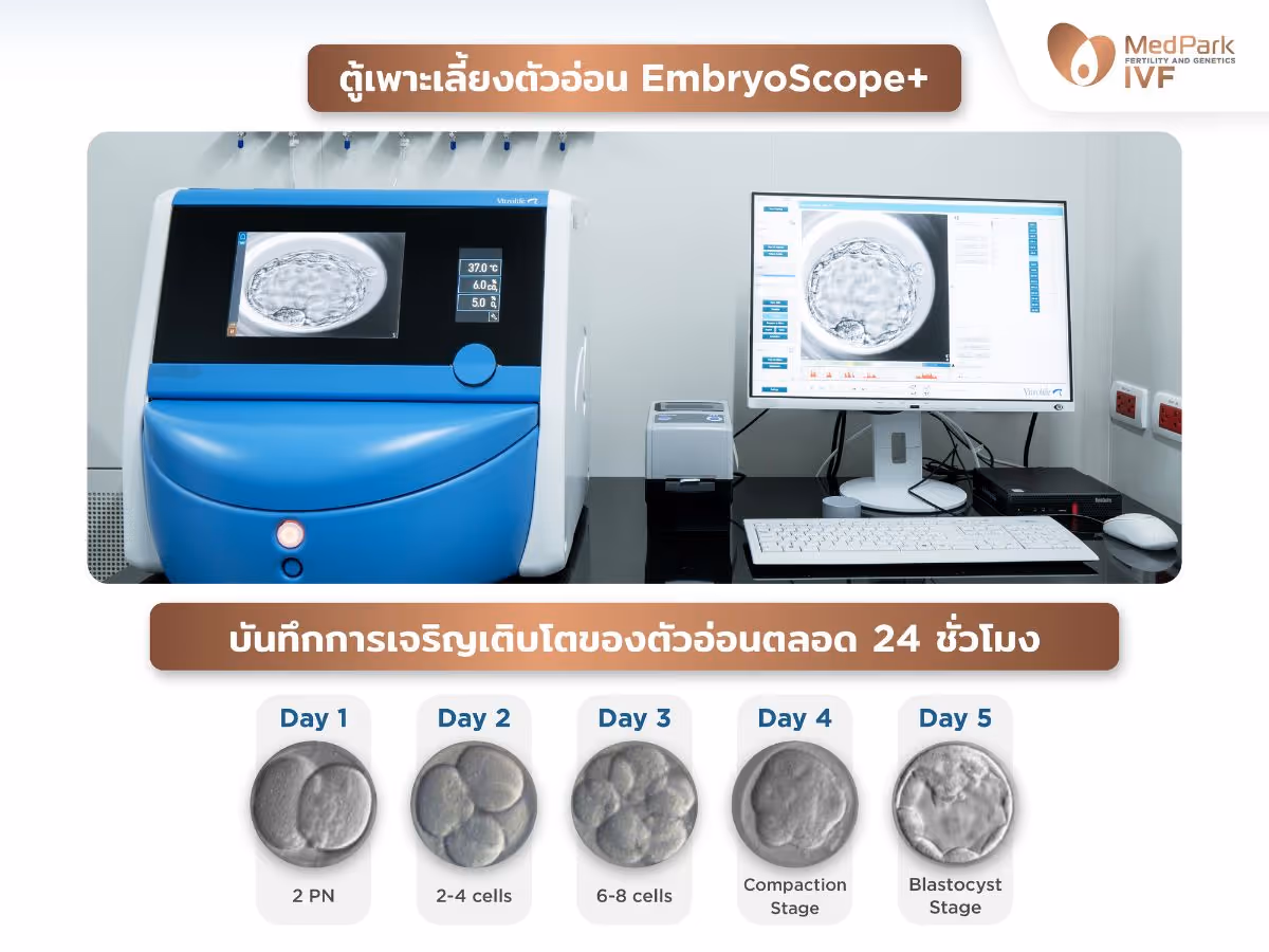 ตู้เพาะเลี้ยงตัวอ่อน EmbryoScope plus บันทึกภาพการเจริญเติบโตของตัวอ่อนตลอด 24 ชั่วโมง