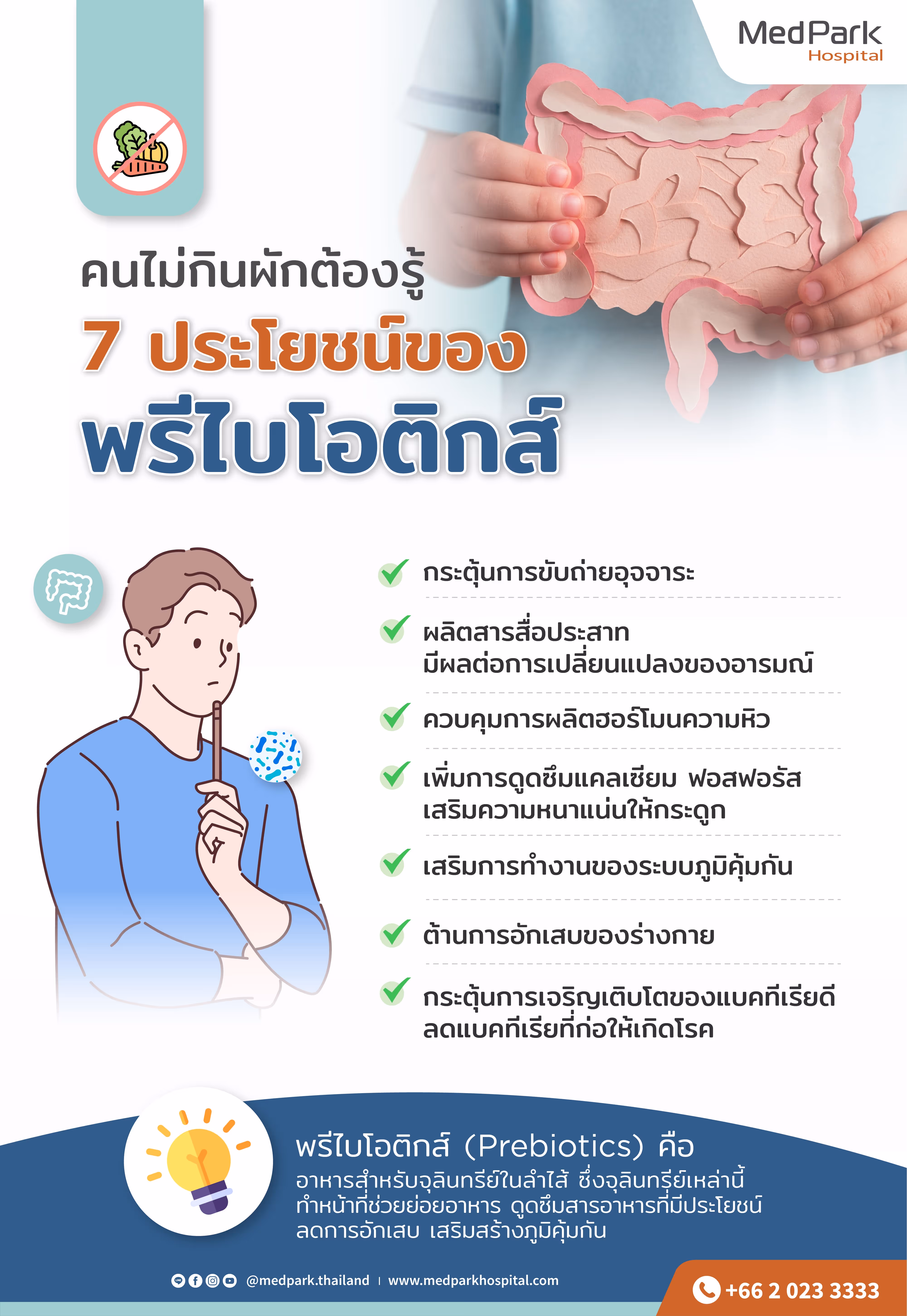 Prebiotics   Infographic Th