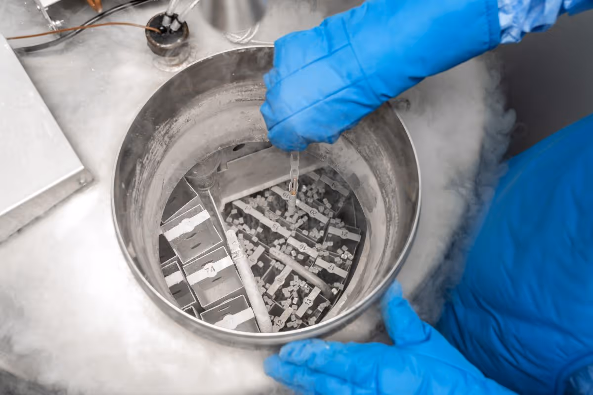 Viwat Chinpilas   Vif  Banner 4