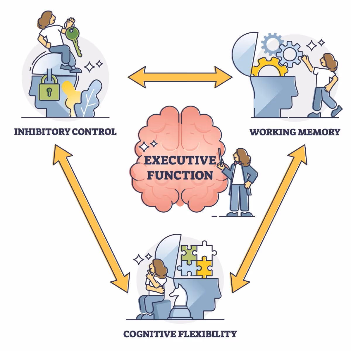 How many types of executive function (EF)? 