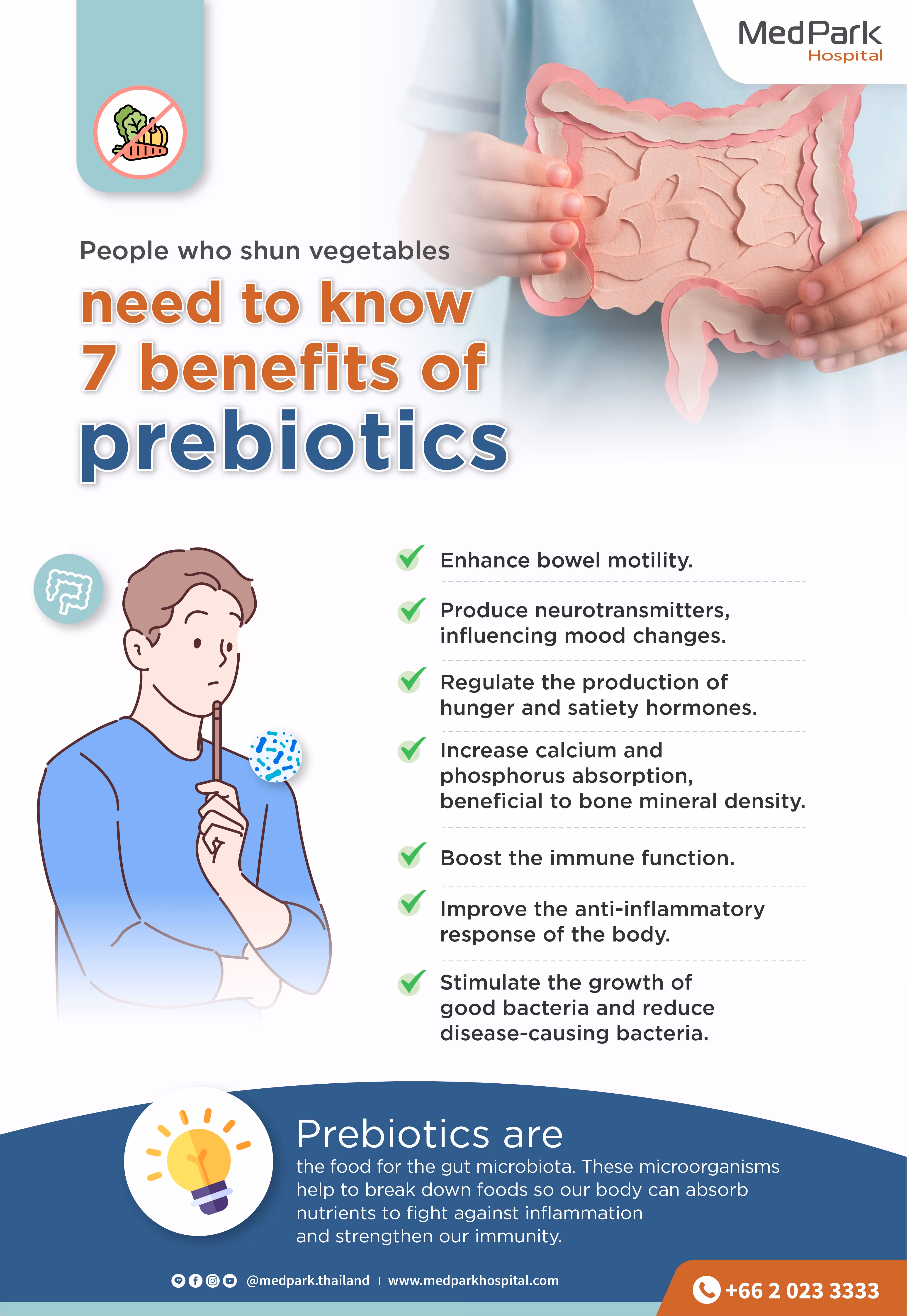 Prebiotics   Infographic En