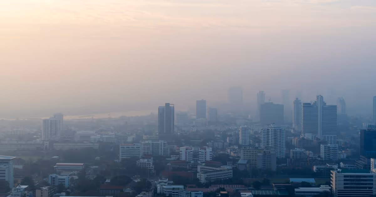 มลพิษในอากาศ โดยเฉพาะ PM2.5 ทำลายสุขภาพอย่างไร - How does air pollution, especially PM2.5, affect your health?