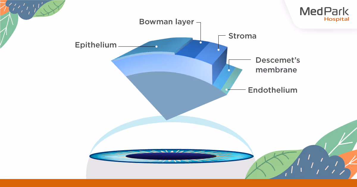 the symptoms of corneal endothelial dysfunction