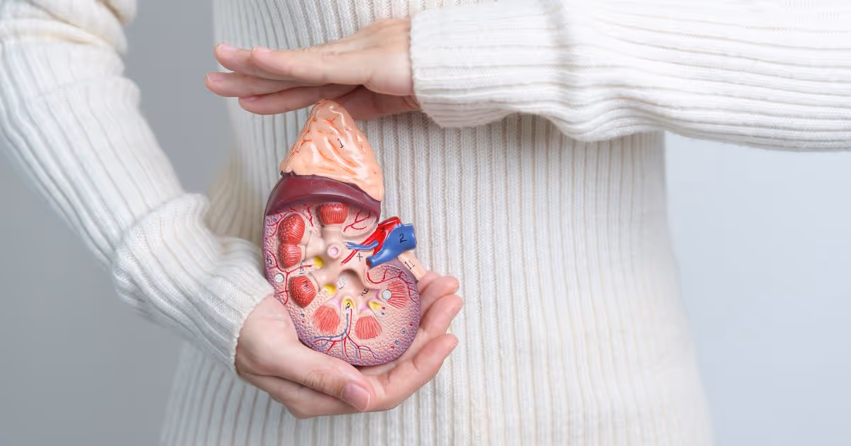 Kidney (sacrifice for Love ) Banner 1