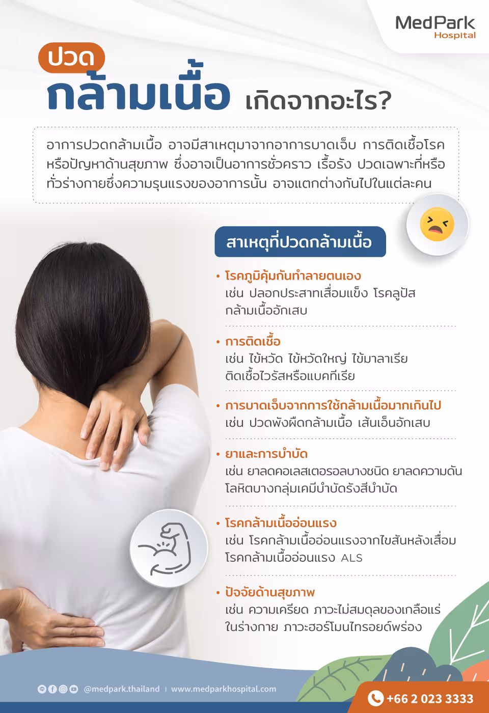 Muscle Pain  Infographic Th