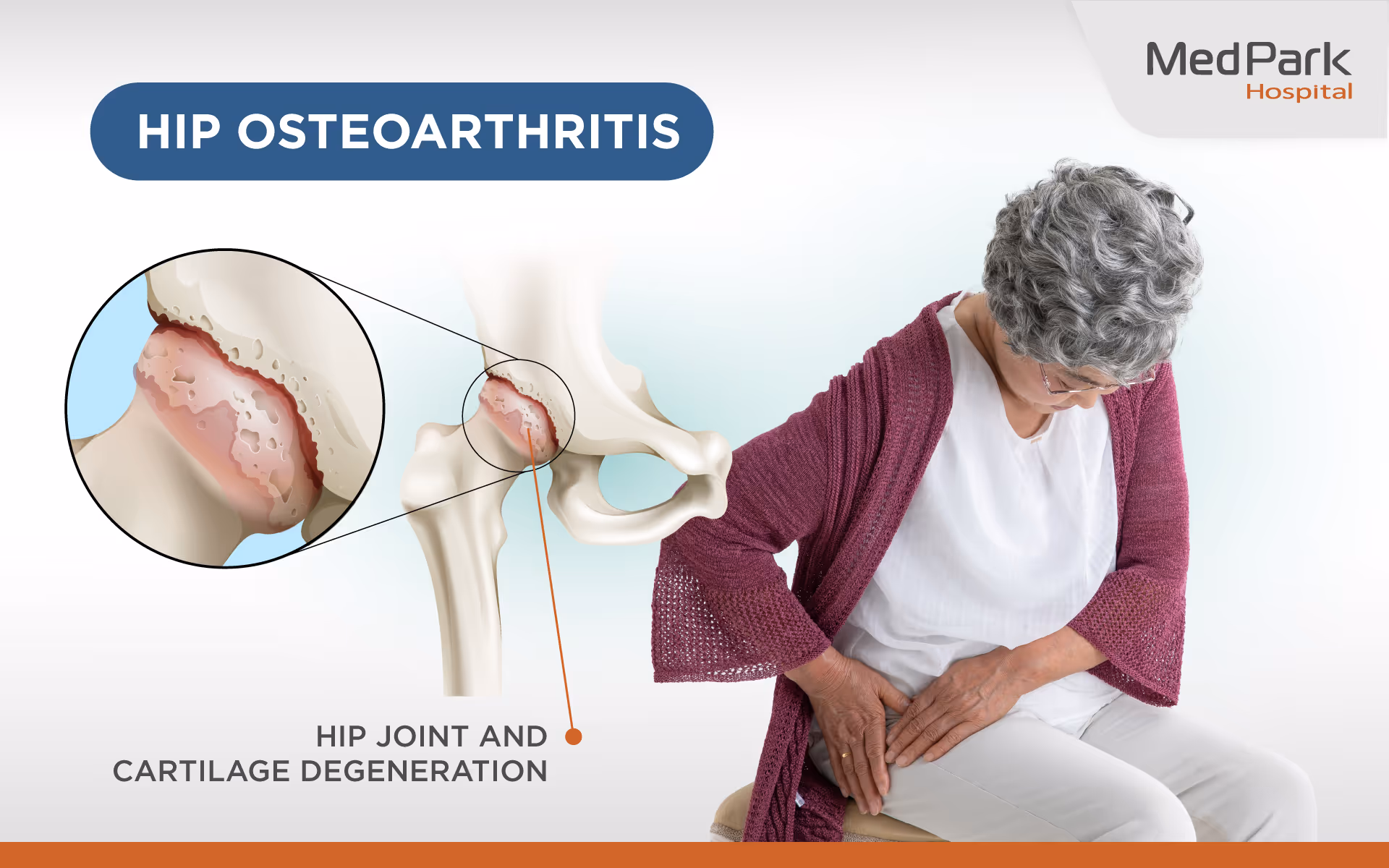 Hip Replacement 2 En