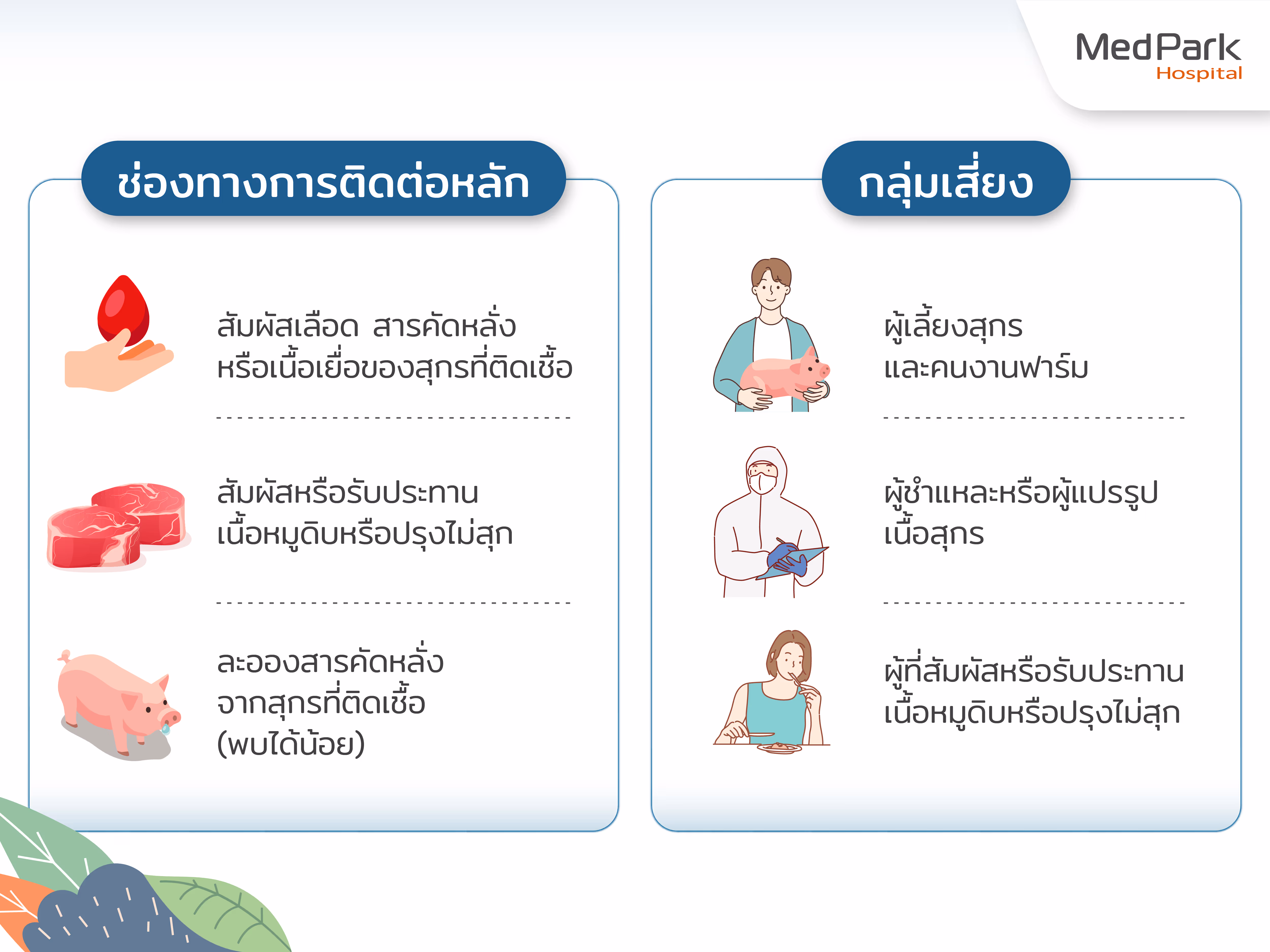 การติดต่อและการแพร่เชื้อสู่มนุษย์  มนุษย์ได้รับเชื้อ Streptococcus suis ผ่านการสัมผัสโดยตรงกับหมูหรือผลิตภัณฑ์จากหมูที่ปนเปื้อน