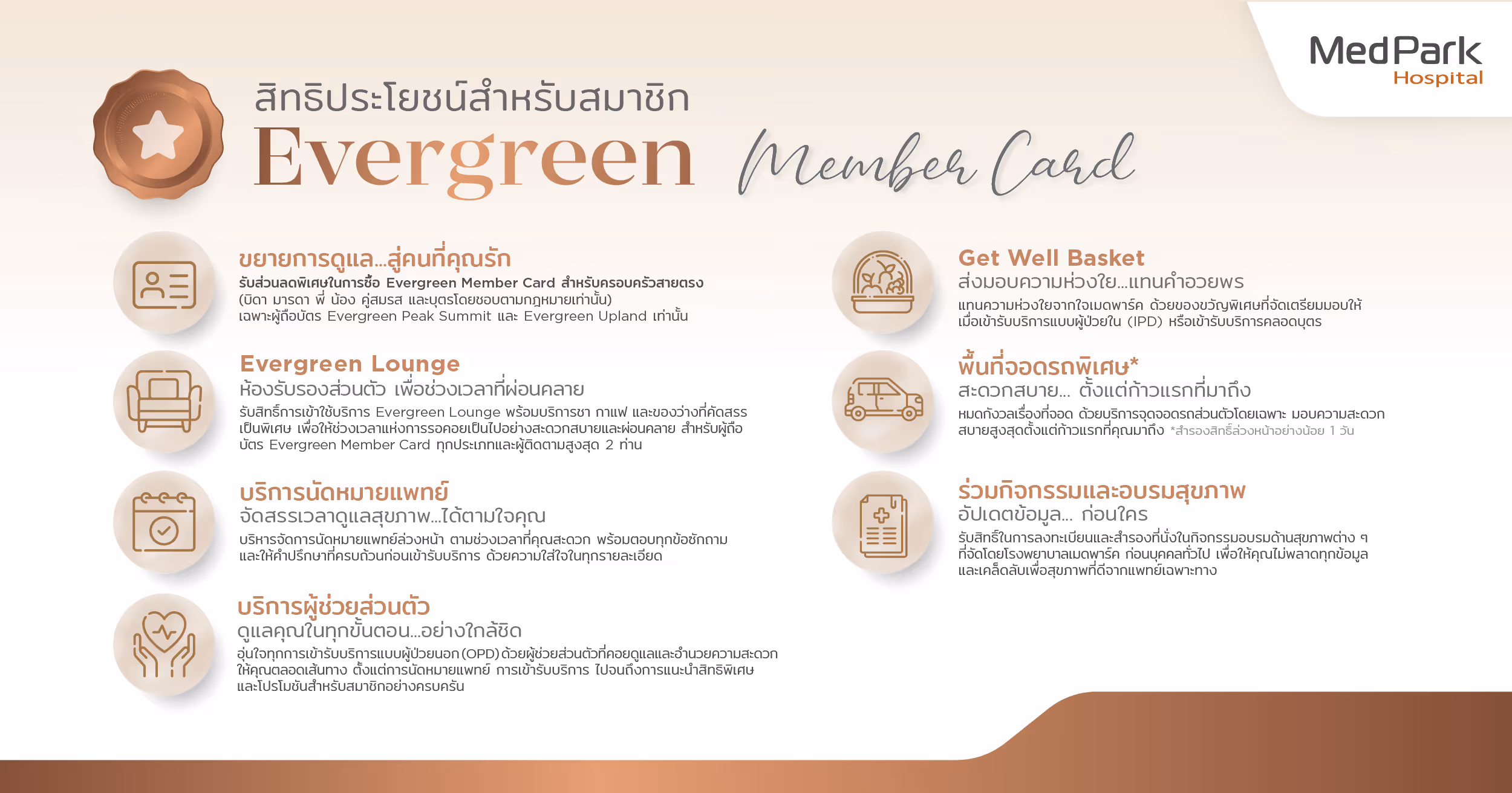 Aw ภาพประกอบ Evergreen 03