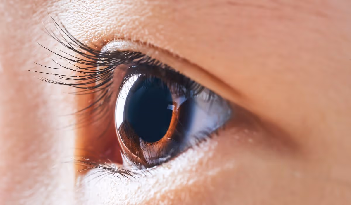 What is the eyelid spa treatment?