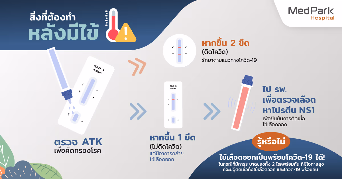 มีไข้ ทำยังไง - What to do when you have a fever