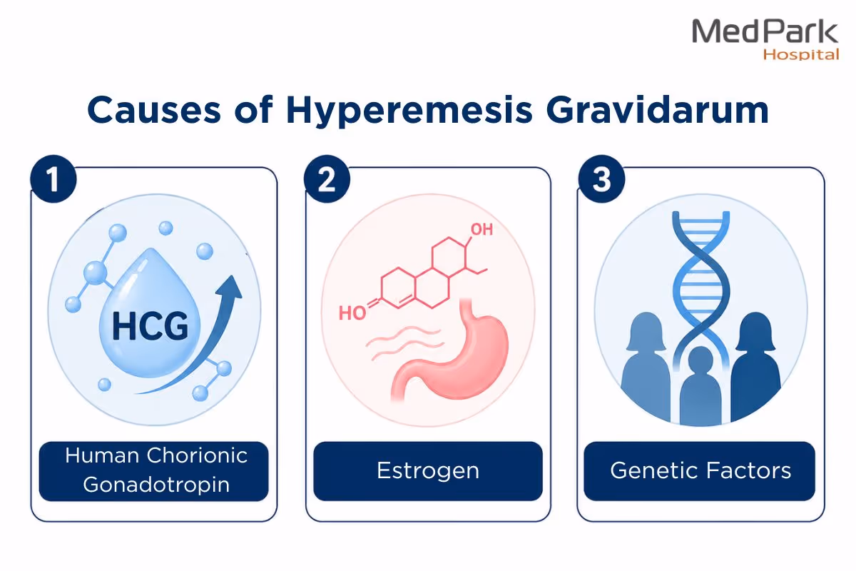 Causes of Hyperemesis Gravidarum En