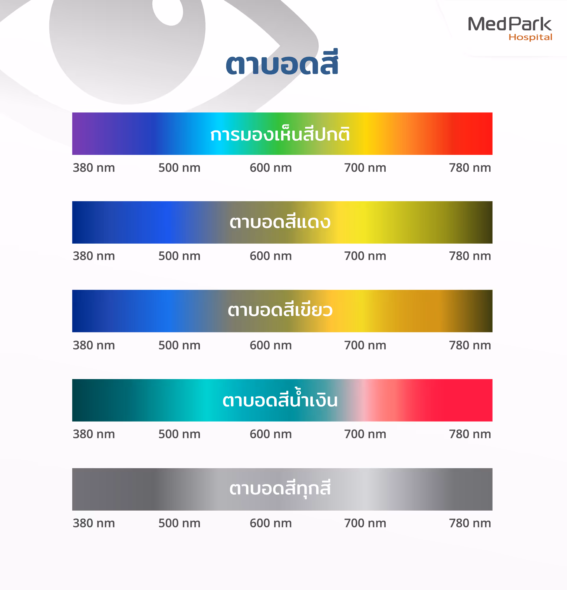 อาการตาบอดสี มีกี่ระดับ How many levels of color blindness?