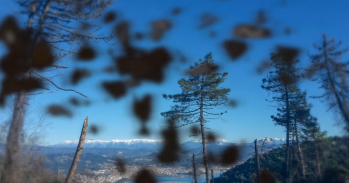 การวินิจฉัยจุดดำลอย หยากไย่ แสงแฟลชในตา How are black spots, cobwebs, flashing lights in vision diagnosed?