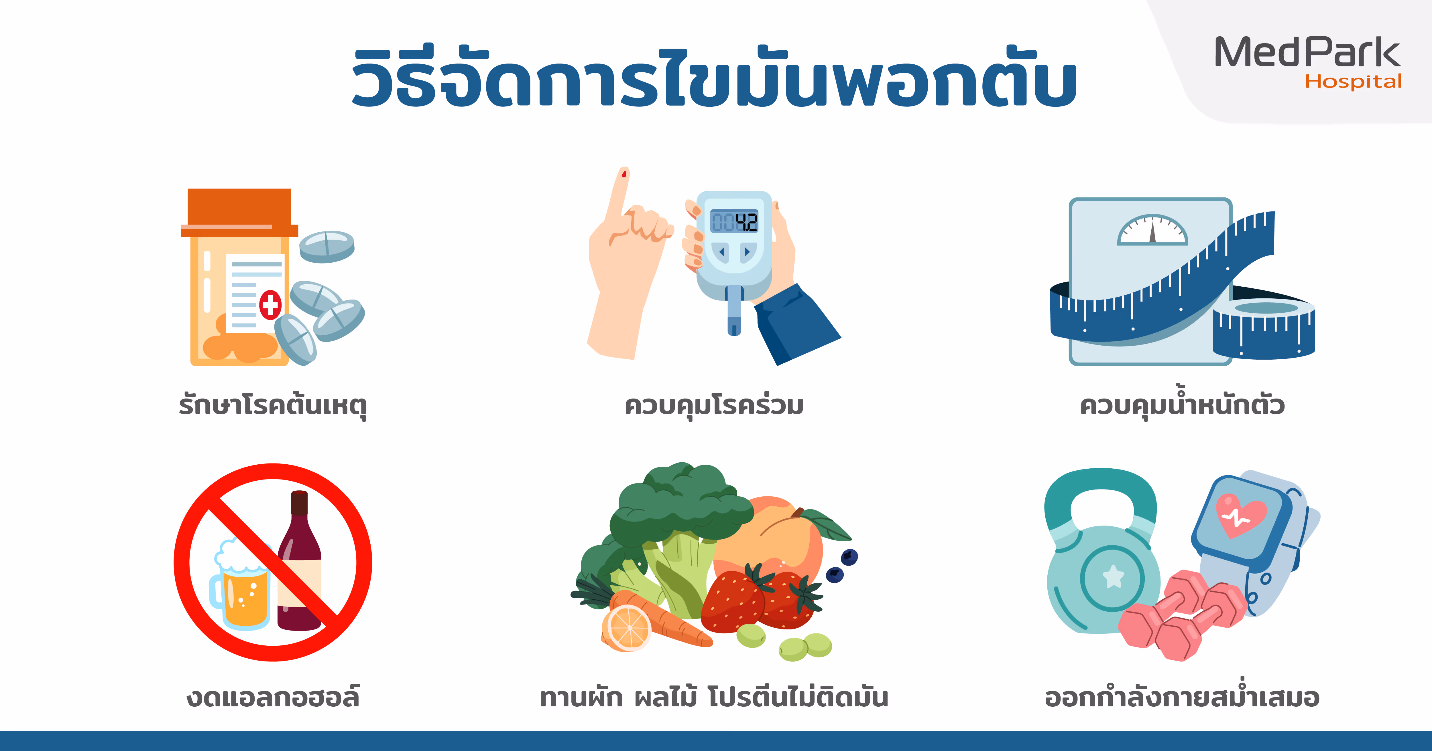 ผลการตรวจมีพังผืดในตับ มีไขมันพอกตับ ต้องทำอย่างไร What to do if the FibroScan test results indicate fibrosis or steatosis?