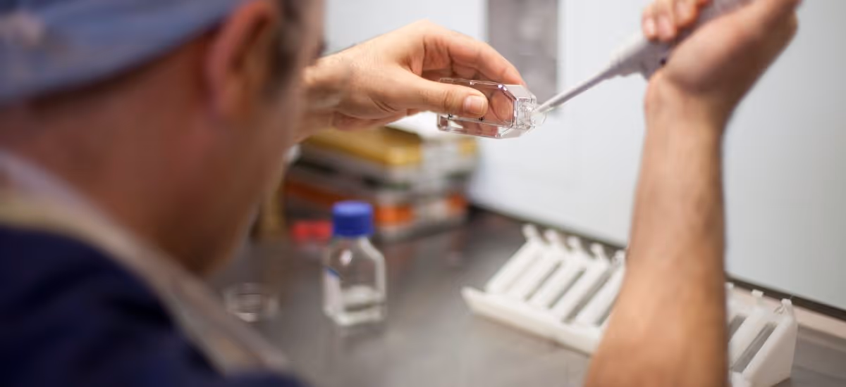 Viwat Chinpilas   Vif  Banner 5