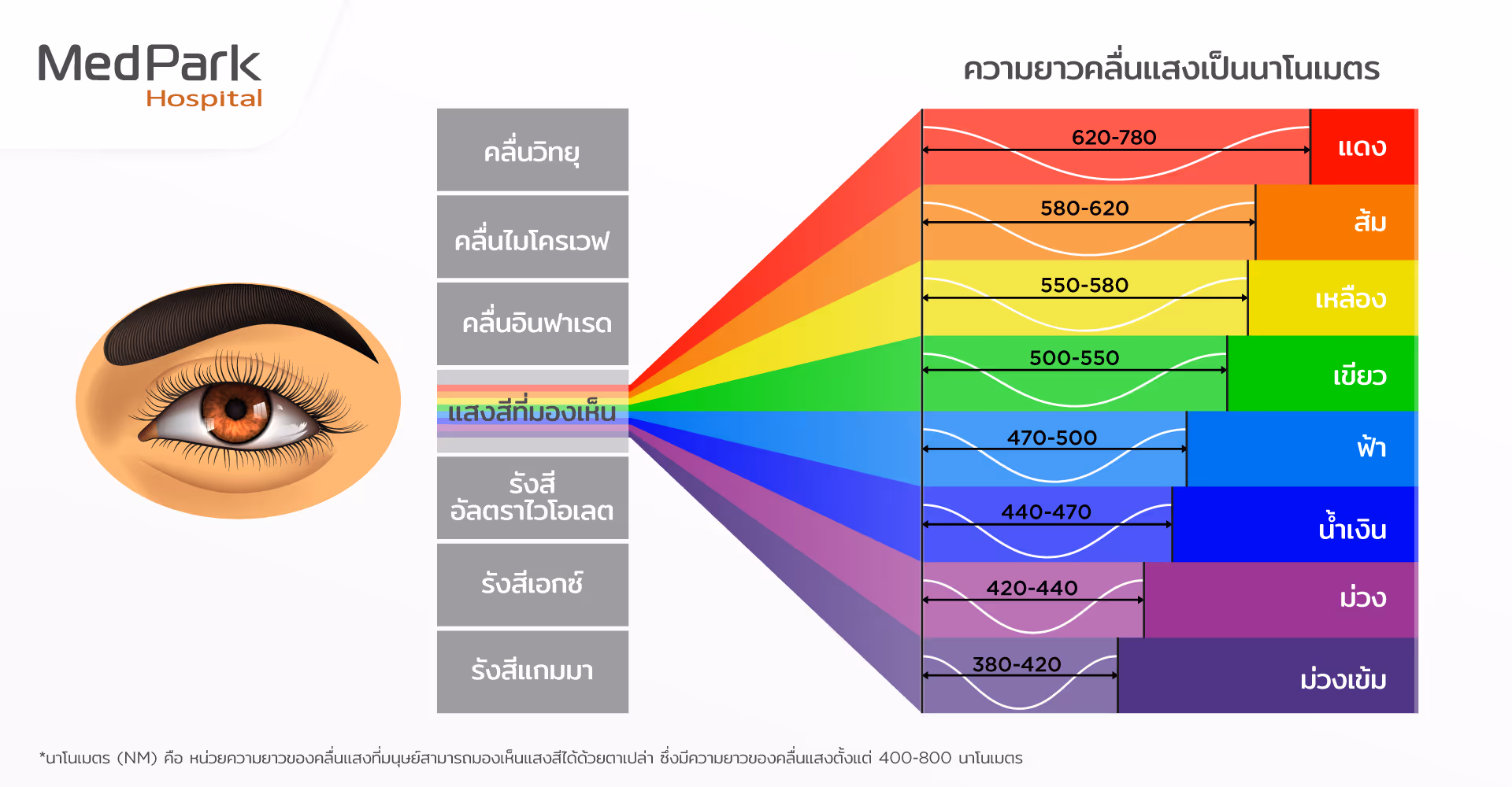 ตาบอดสี รักษาได้ไหม Is color blindness treatable