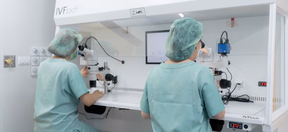 Ivf Embryo Grading Banner 3