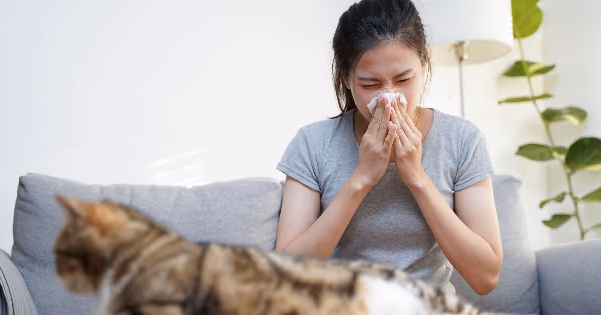 Allergic Rhinitis Banner 1
