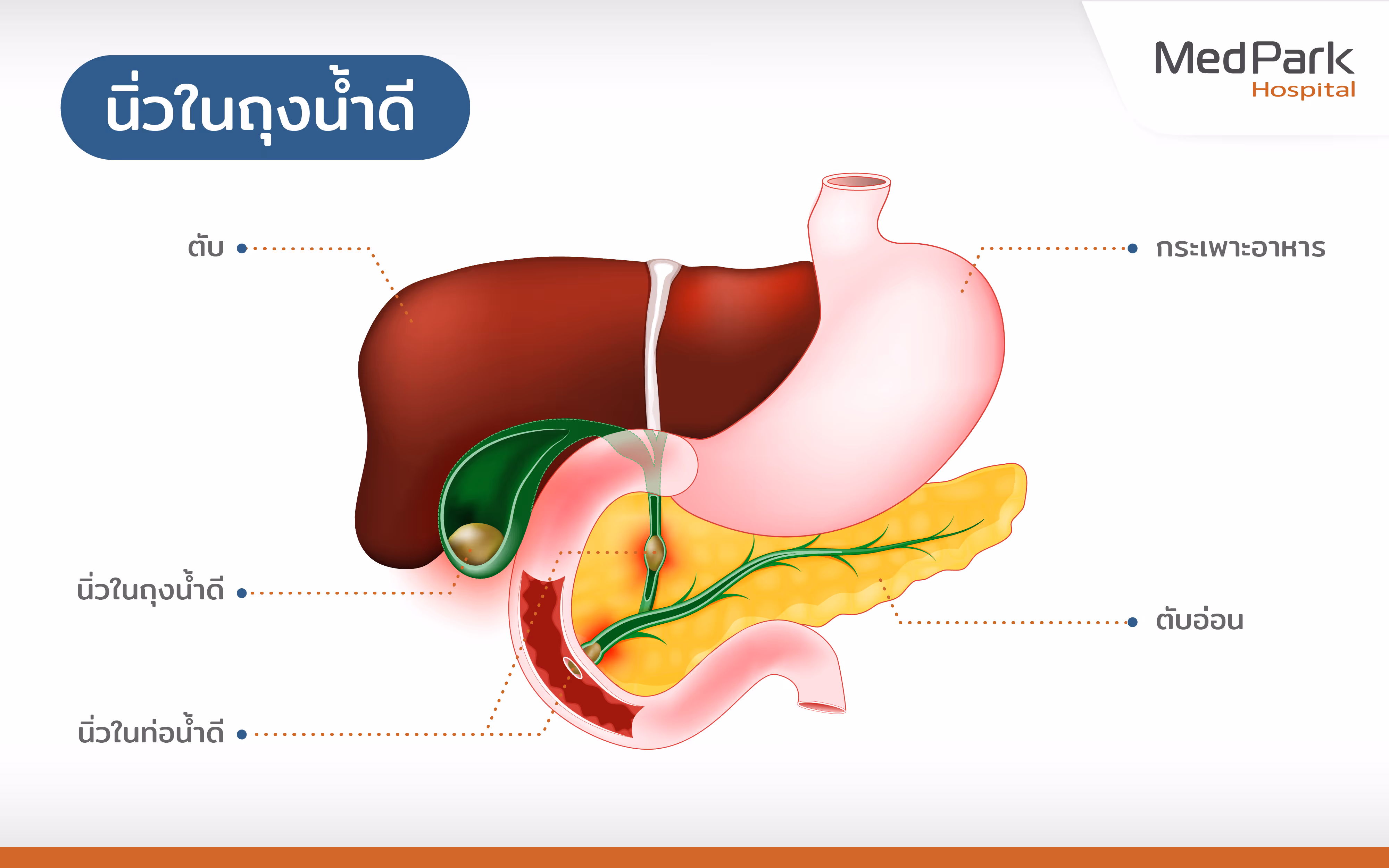 โรคในระบบทางเดินน้ำดีและตับอ่อน