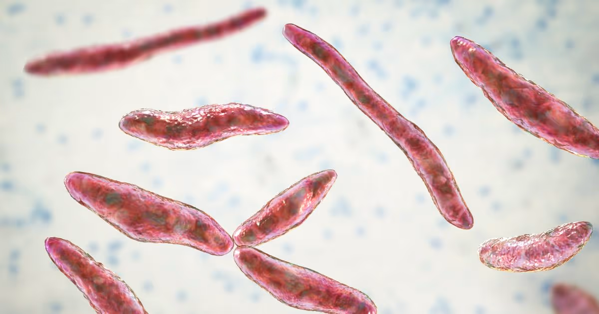 What causes meningitis?