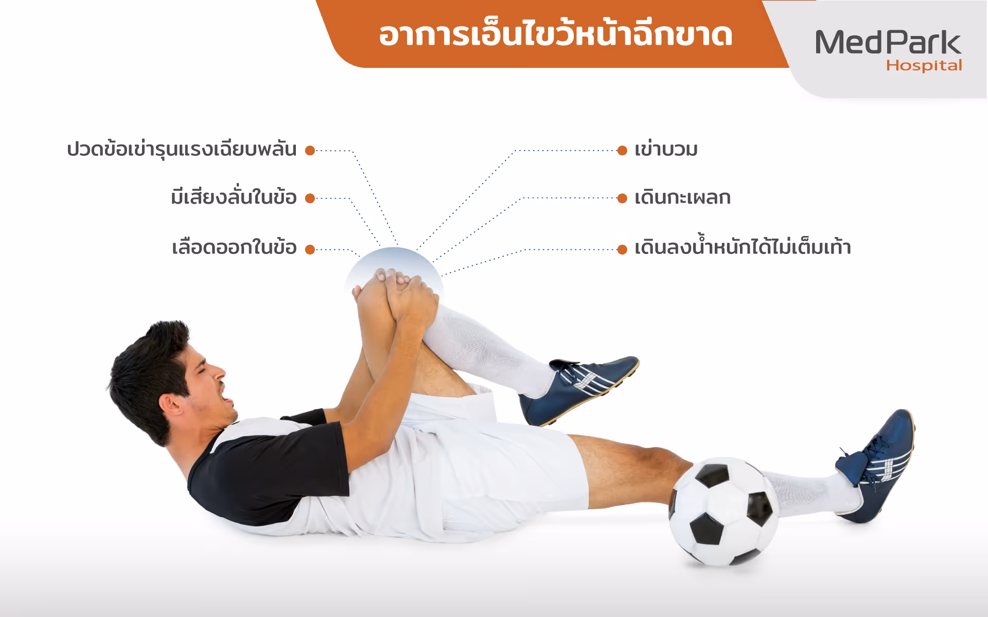 Acl Reconstruction (1 2)