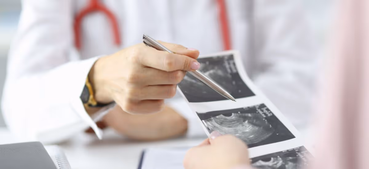 Viwat Chinpilas   Vif  Banner 3