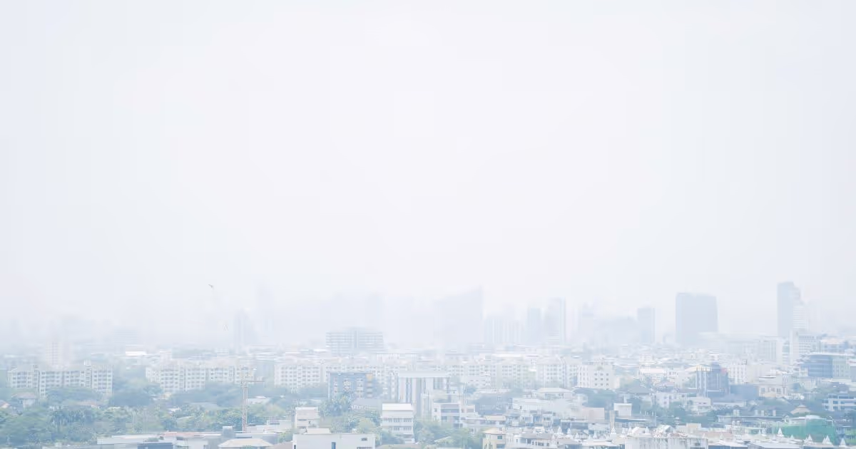 ฝุ่น PM 2.5 คุณภาพอากาศ ที่ต้องตระหนัก ถ้าอยากมีชีวิตยืนยาว