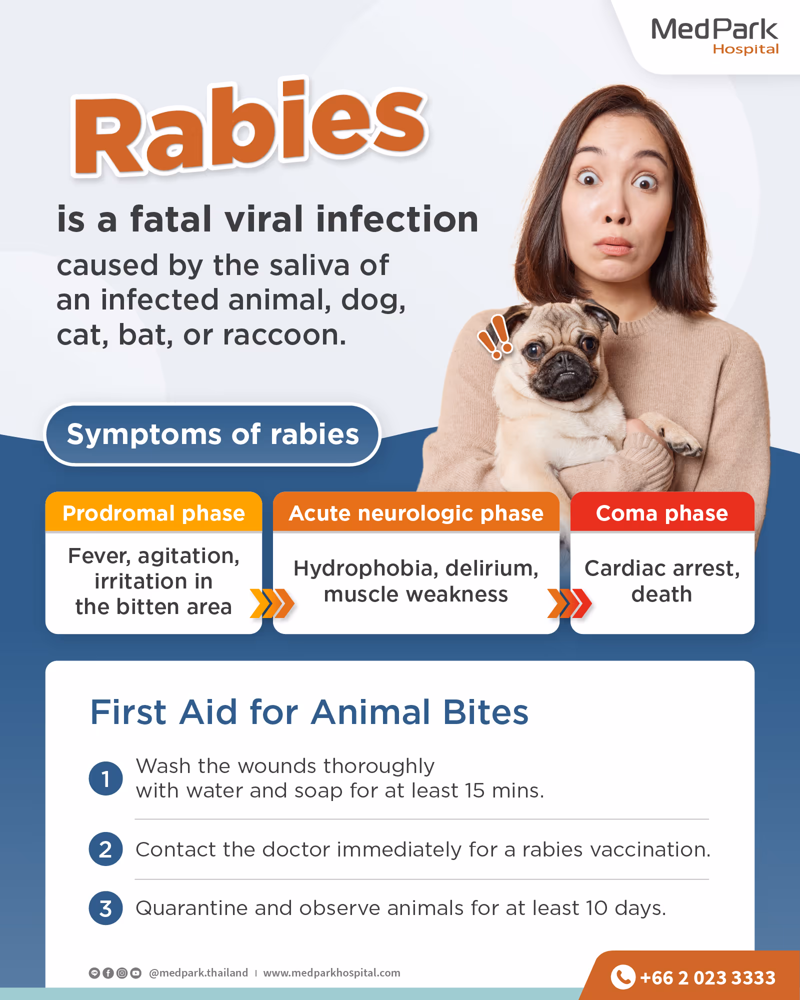 สาเหตุ อาการ วิธีรักษาโรคพิษสุนัขบ้า (Rabies) - Rabies - Causes, Symptoms, Treatment