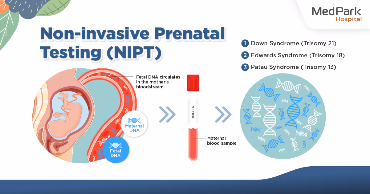 ขั้นตอนการตรวจ NIPT What is the NIPT test procedure?